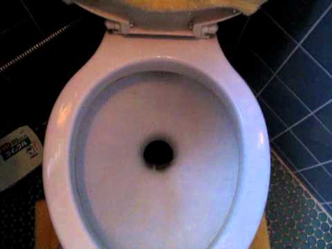 田舎 簡易水洗式トイレ Youtube