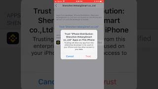 How To Trust Custom Enterprise apps on iOS 11 screenshot 4