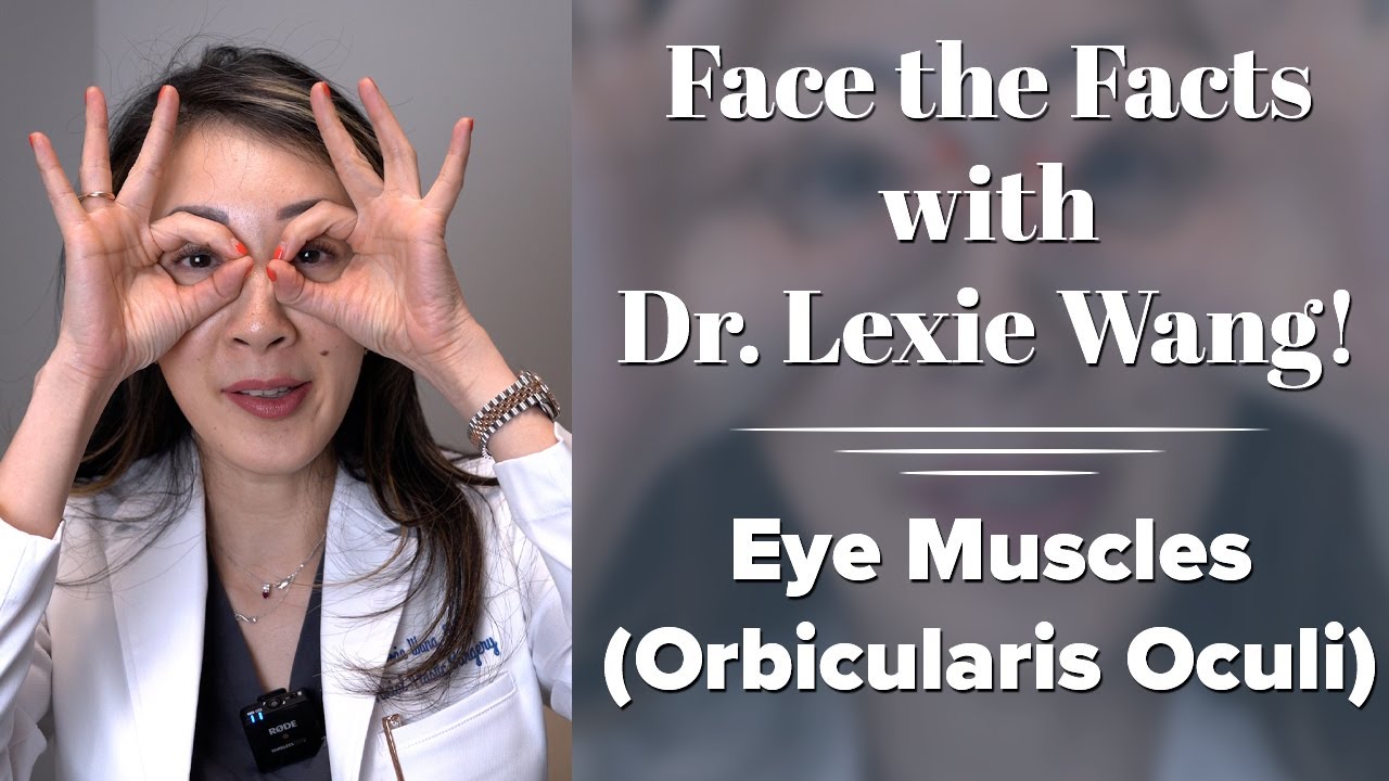 Eye Muscles (Orbicularis Oculi) - Face the Facts with Dr. Lexie Wang | West End Plastic Surgery