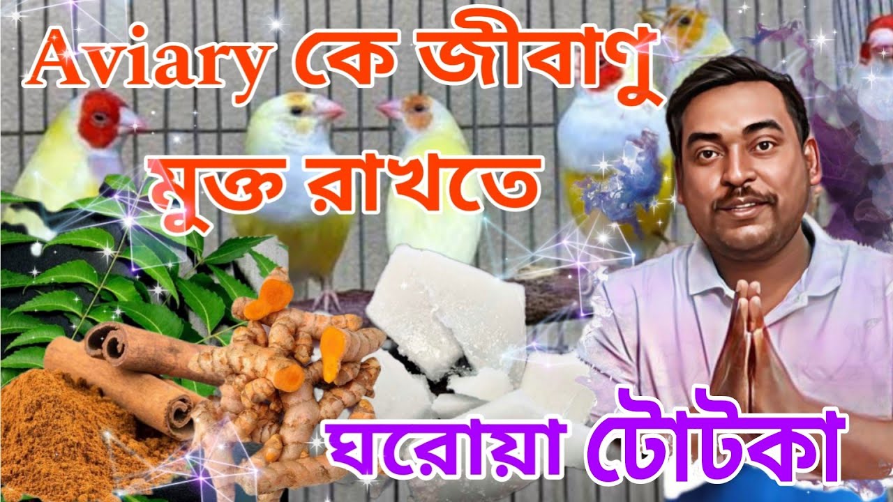Aviary কে জীবাণু মুক্ত রাখতে ঘরোয়া টোটকা। Use Natural power for Mites and Germs free Aviary.