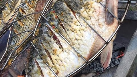 Vỉ Nướng Cá - Mô Tơ Quay Vịt- Xiên Nướng vịt- Vỉ Nướng Cá Rô Phi - Vỉ Nướng Cá Lóc- 0355488481 Zalo