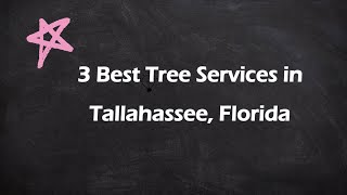 3 Best Tree Services in Tallahassee Florida Arborists