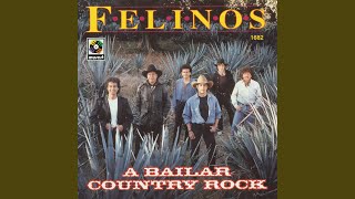 El Rodeo Del Amor