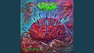 Lord Gore - Lord Gore