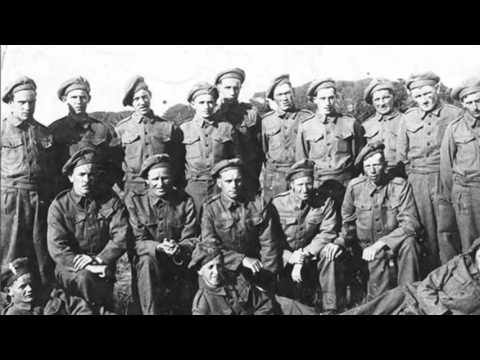 What was the Emergency in Ireland   Resolution720P MP4