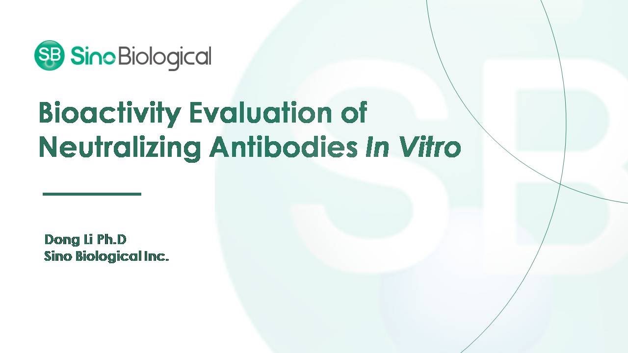 Bioactivity Evaluation of Neutralizing Antibodies In Vitro - YouTube