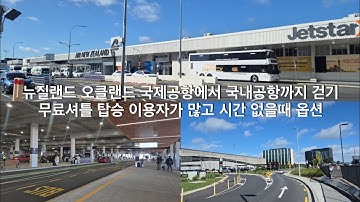 뉴질랜드 오클랜드 국제공항에서 국내공항까지 걷기 / 무료셔틀 탑승 이용자가 많고 시간 없을때 옵션