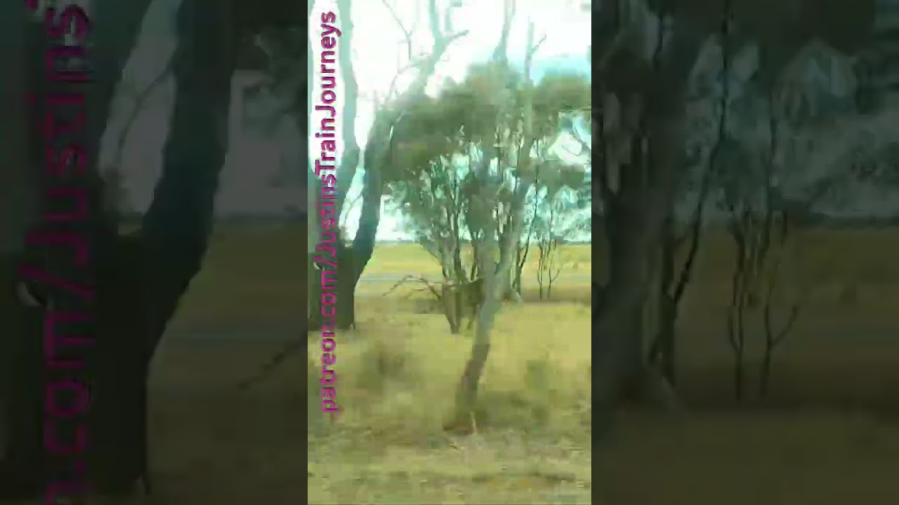 Steamrails Australia Day Trip To Rochester 260125 