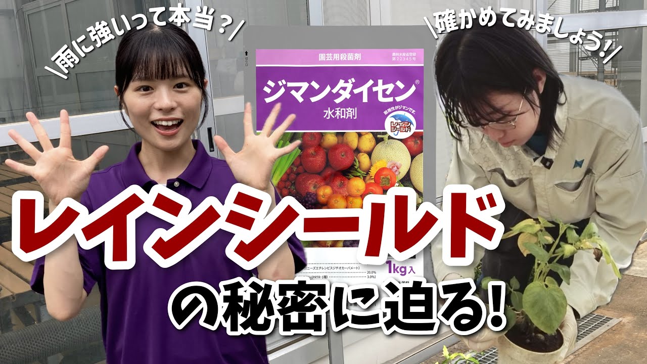 ジマンダイセン水和剤が耐雨性に優れる理由、徹底調査スペシャる～！独自の製剤技術「レインシールド　テクノロジー」とは？