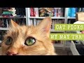 Cat picks my may tbr