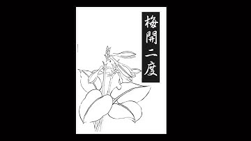 寓言故事 |mandarin chinese idiom and phrase bank -梅開二度  短語成語  短語詞典