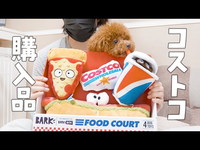 Costco dog toys are the best! | Funny and Cute Dog - YouTube