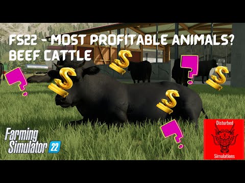 FS22 - Most profitable animals part 6 - Beef Cattle?