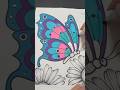 #coloring #top #drawing #asmr #art #sketch #doodle #painting #paint #butterfly #nature #softcolors