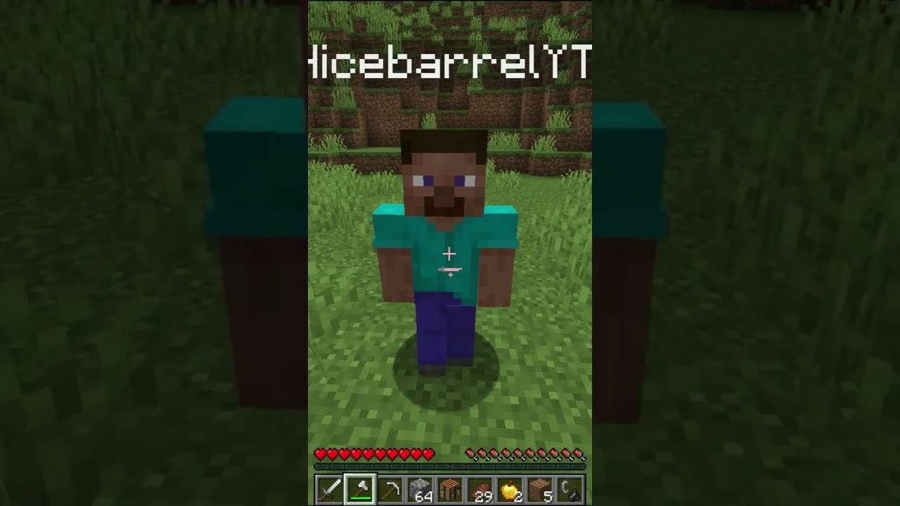 Minecraft Moment