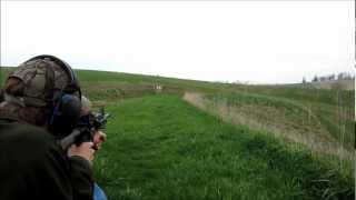 Eotech 512 - Return to Zero