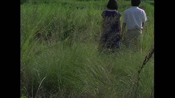 映画『青い箱舟』予告編