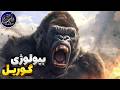 بیولوژی حیرت انگیز گوریل ها اسرار تکاملی و قدرت شگفت انگیز طبیعت بیولوژی حیرت انگیز گوریل ها اسرار تکاملی و قدرت شگفت انگیز طبیعت