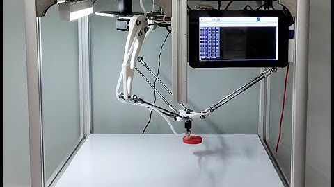 Delta Robot in Action