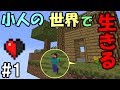 【マインクラフト】#1 小人の世界で生きる ~ハート0.5の世界~【配布ワールド】