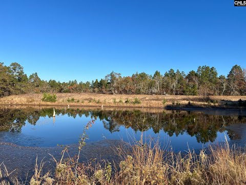 1524 Windy Wood Road, Pelion, SC home video tour