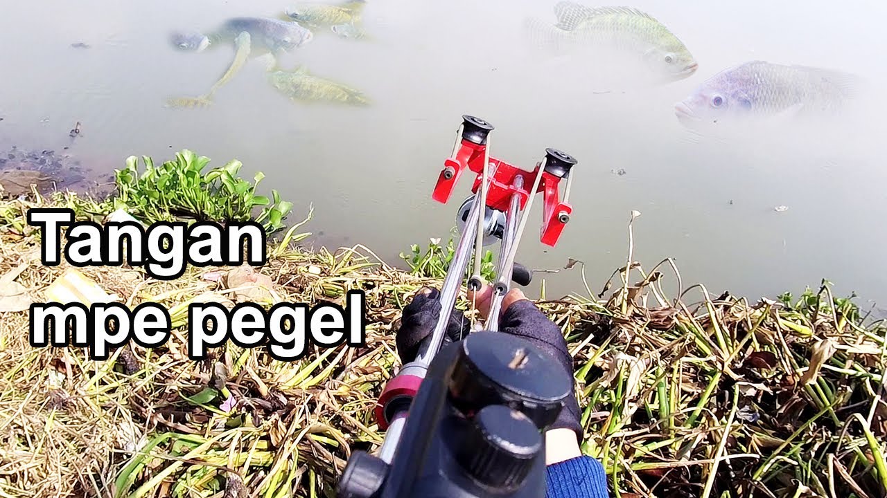 Tangan sampe PEGEL Menang banyak  maser ikan dengan slingshot poin melimpah