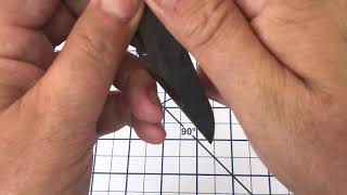 The Carboniferous Period: Rough Ryder RR1742 Classic Carbon Folding Hunter
