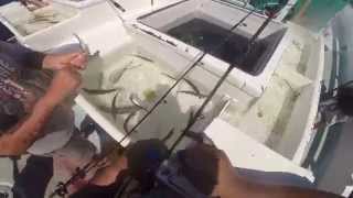 Thunderbird Sport fishing 2015 Part 1