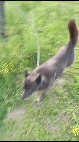 youtube.com