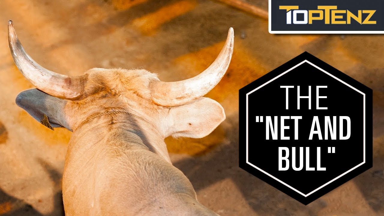 10 Gruesome Execution Methods in the Gladiatorial Arenas