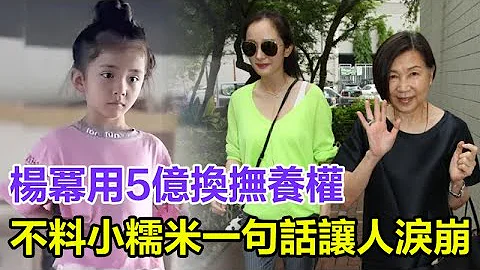 抢女大战！杨幂用5亿换抚养权，遭刘恺威拒绝，不料小糯米的一句话让人泪崩！#刘恺威#杨幂#小糯米#李晓峰#刘丹 - 天天要闻