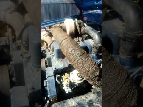 D22 Navara 4bt Cummins swap - YouTube