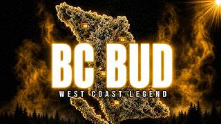 BC Bud: The Canadian Weed That Took Over The West Coast