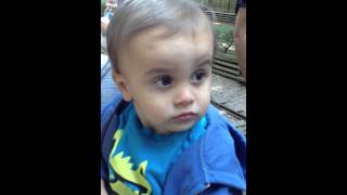 01340347-3Bf7-409C-85E5-54951F1B715F.mov