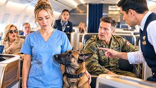 The First Class Passenger Mocked the Waitress With a K9—Then the Commander Uncovered Her Classifi...