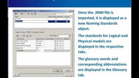 Naming and Datatype Standards (NSM & DSM) in ERwin DM r9