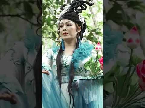 Video Bách Hoa Tiên Tử - youtube
