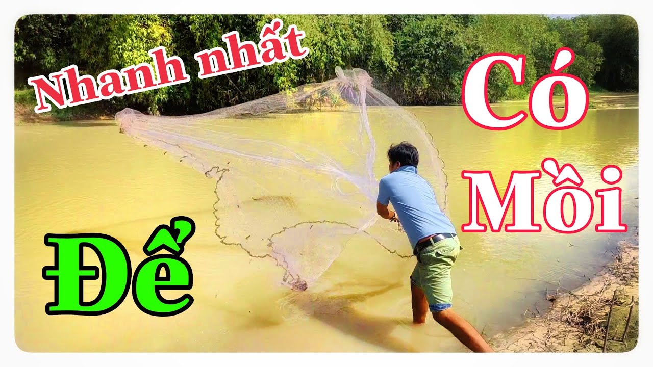 Chài Cá Cách Nhanh Nhất Để Có Mồi | Kim Đang