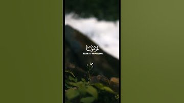 مشاري العفاسي-سورة التوبة أية ٥١