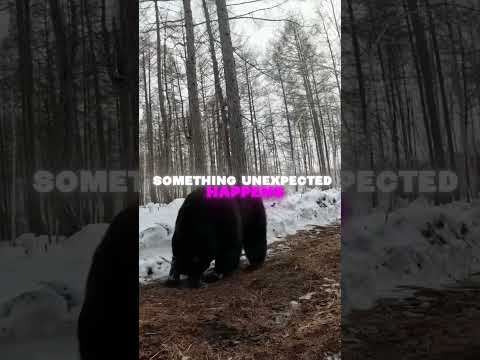 Cclaire Bbearxo's Unexpected Friendship: A Heartwarming Tale