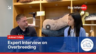 The Hidden Dangers of Overbreeding: A Vet’s Perspective