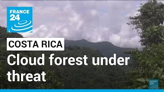 A cloud forest with no clouds Climate change threatens Costa Rica's Monteverde • FRANCE 24