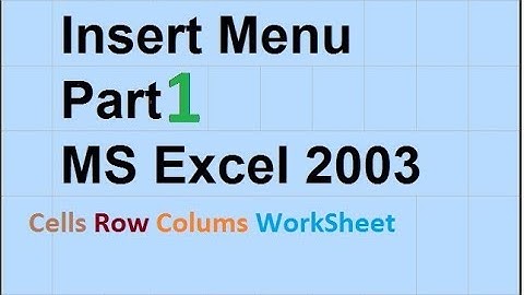 12 - How to Use The Insert Menu In Ms Excel 2003 - in Urdu/Hindi - Part 1- Lunar Computer College