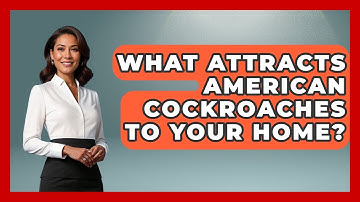 What Attracts American Cockroaches To Your Home? - Insects and Invaders