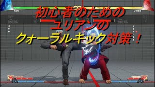 初心者講座 ユリアンのクォーラルキック対策 確反 ケン Youtube