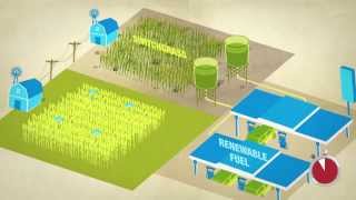 How America Is Feeding & Fueling the Country, In 60 Seconds