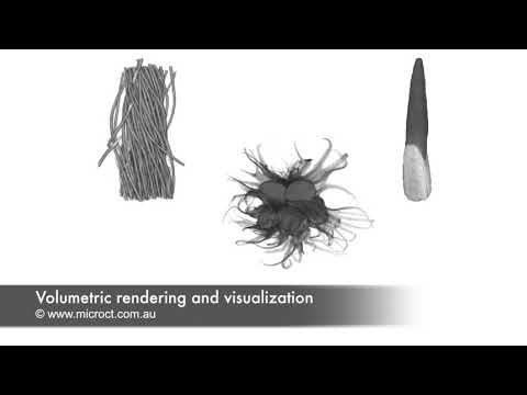 CT volumetric rendering and visualization