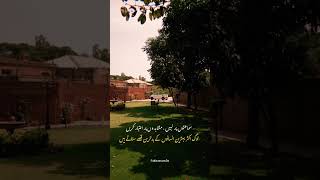 Deep Lines | Urdu Shayari | Whatsapp Status #shorts #poetry #unfrezzmyaccount #foryou #shayari