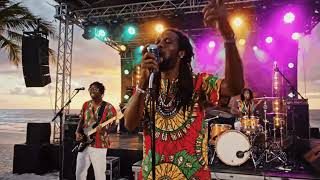 You Took My Heart Away - Reggae Version | Ultimate Reggae Covers Playlist