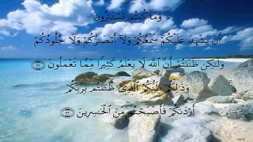 سورة فصلت - المنشاوي برواية حفص